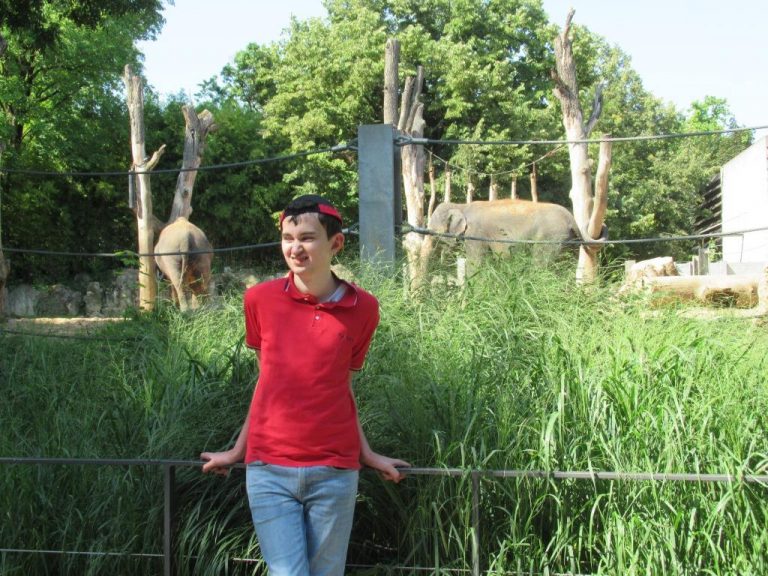 Ein Mann steht vor einem Elefantengehege